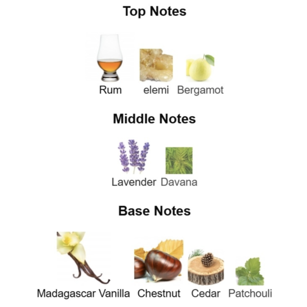 Emporio Armani Stronger With You Absolutely Giorgio Armani 100ML