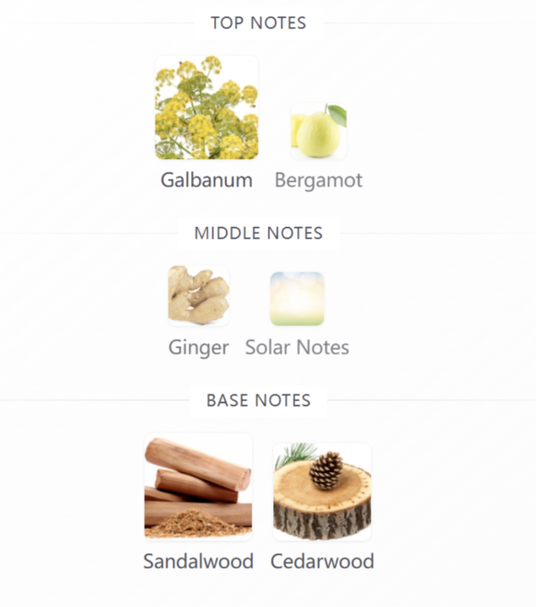 LV Lovers Louis Vuitton 100ml