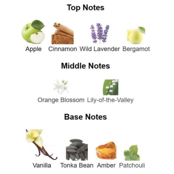 Screenshot 2026-03-29 at 01.49.51 9pm Afnan 100ml