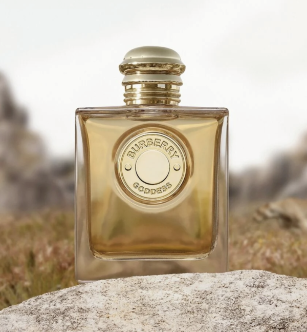 Screenshot 2026-03-29 at 01.57.13 Goddess Burberry 100ml