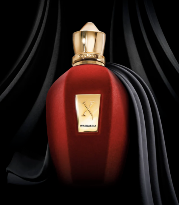 Wardasina Xerjoff 100ML